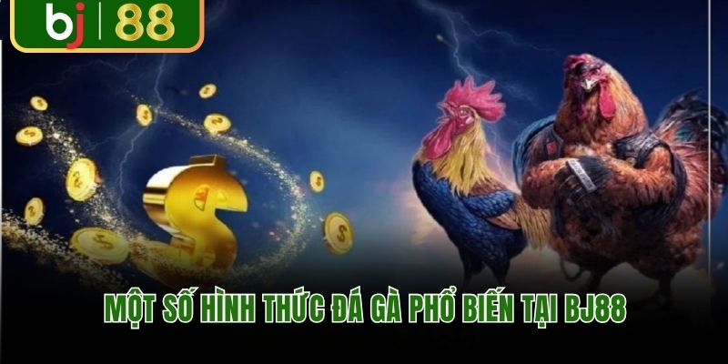Một số hình thức đá gà phổ biến tại BJ88