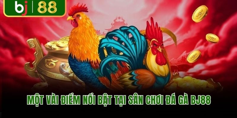 Một vài điểm nổi bật tại sân chơi đá gà BJ88