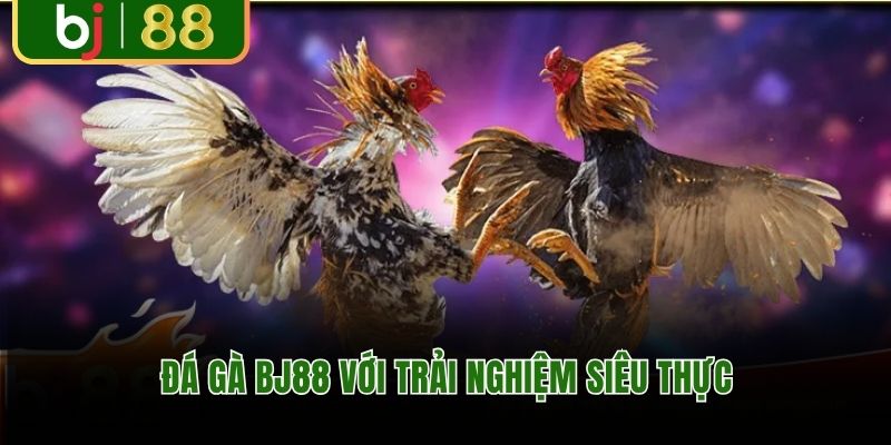 BJ88 nổi tiếng với sảnh đá gà