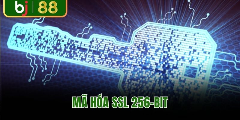 Mã hóa SSL 256-bit hiện đại