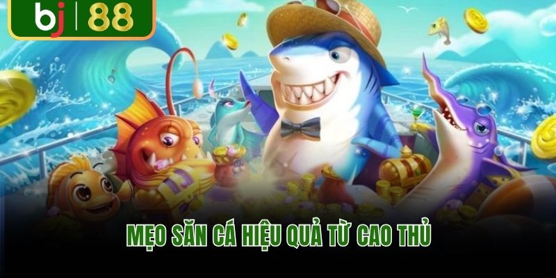 Mẹo săn cá hiệu quả từ cao thủ